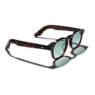 Knowledge - Tortoise - SARTORIAL OG